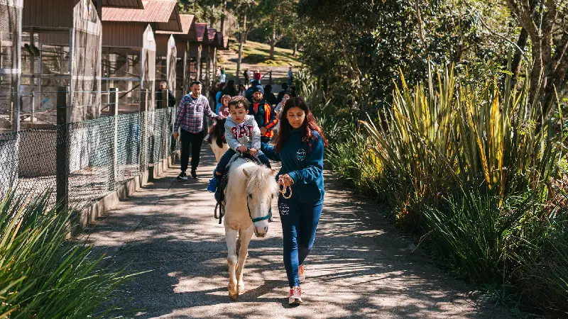 Piazito Park Hotel viva a alegria e o descanso da fazenda