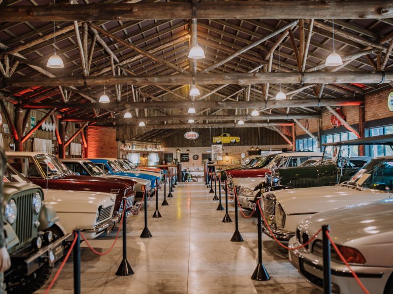 045 Piazito DIO 1588