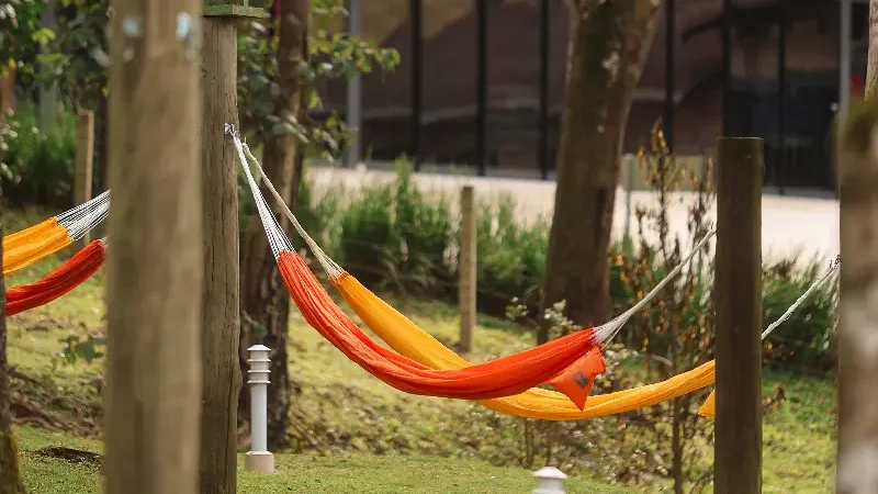 Bosque do descanso