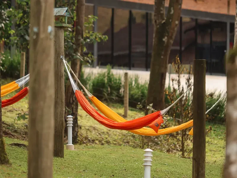 Bosque do descanso