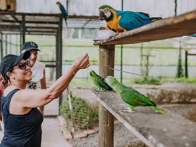 Parque das aves