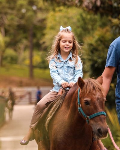 Passeio de pônei (1)