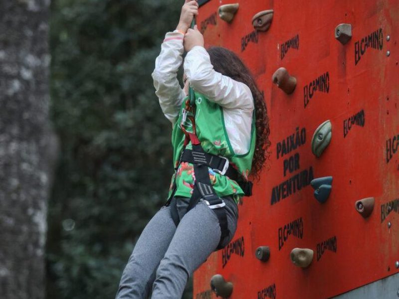 escalada infantil (7)
