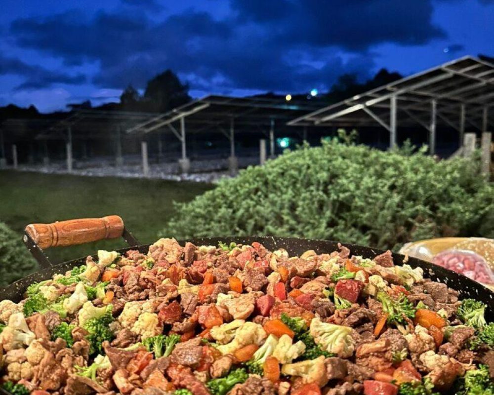 f2e9df29 4d18 491e aaa1 e86a9c51fa40