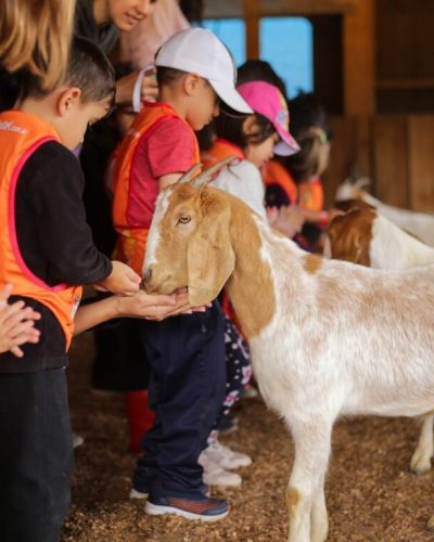 fazendinha piazito park hotel 12
