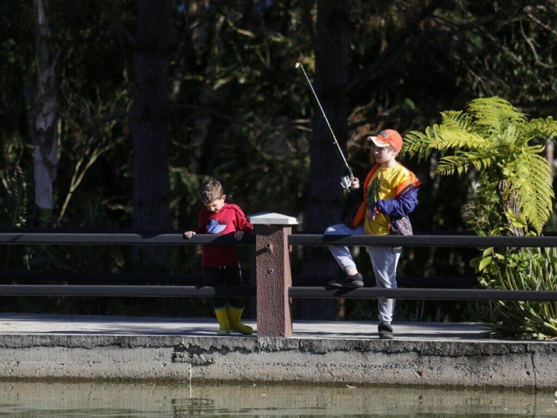 pesca e pague pedalinho piazito park hotel 10